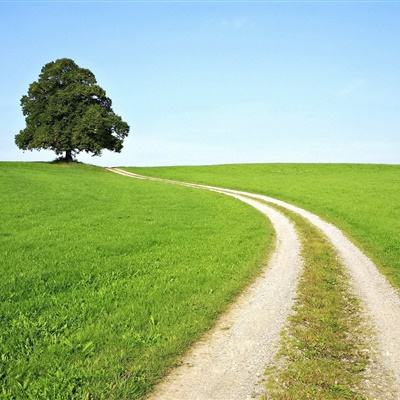 荷兰专家：美以对伊行动涉战争罪 西方舆论混淆是非